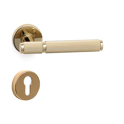 Pıxar-L Rozetli Kapı Kolu Takımı Altın Renk