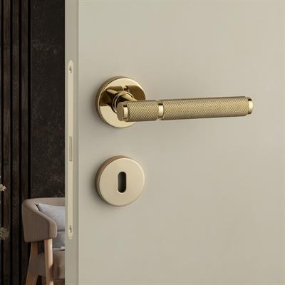 Pıxar-T Rozetli Kapı Kolu Takımı Altın Renk