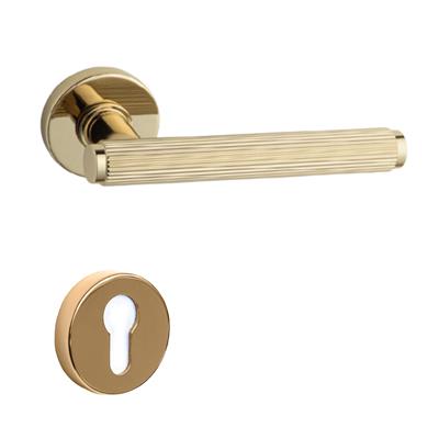 Pıxel-L Rozetli Kapı Kolu Takımı Altın Rengi