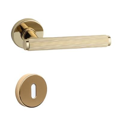 Pıxel-L Rozetli Kapı Kolu Takımı Altın Rengi