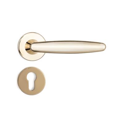 Polna Rozetli Kapı Kolu Gold Renk