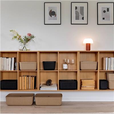 Pulp 2Li Saklama Kutusu 17 L Çamur Rengi 48 x 32 x 15 cm