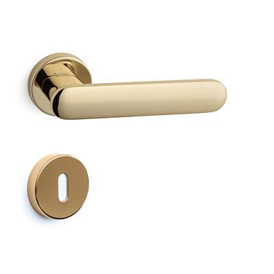 Sınus Rozetli Kapı Kolu Takımı Altın Rengi