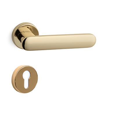 Sınus Rozetli Kapı Kolu Takımı Altın Rengi