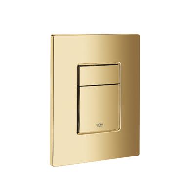 Skate Cosmopolitan Gömme Rezervuar Kumanda Paneli 38732gl0