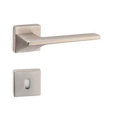 Tara Rozetli Kapı Kolu Takımı Saten  Renk