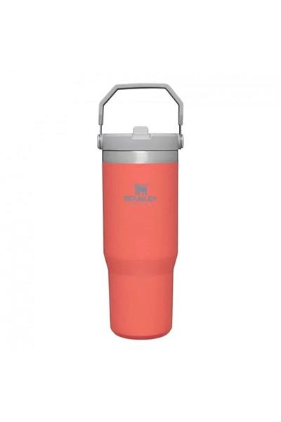 Stanley The IceFlow Flip Straw Pipetli Termos Bardak 0,89 LT - Turuncu