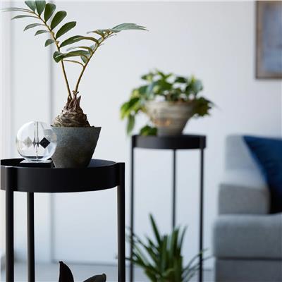 Tower Tekerlekli 2 Katlı Bitki Standı Siyah Y: 70 cm