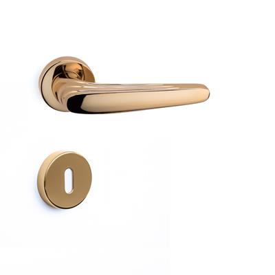 Trıton Rozetli Kapı Kolu Takımı Altın Renk