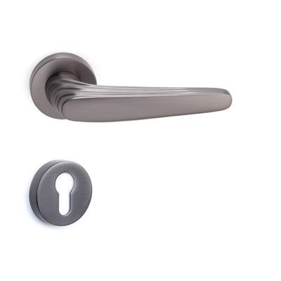 Trıton Rozetli Kapı Kolu Takımı Füme  Renk