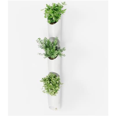 Umbra Floralink Duvar Kapları