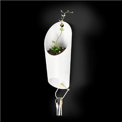 Umbra Floralink Duvar Kapları