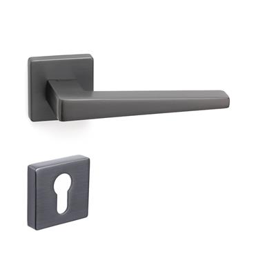 Vısıon Rozetli Kapı Kolu Takımı Füme Renk