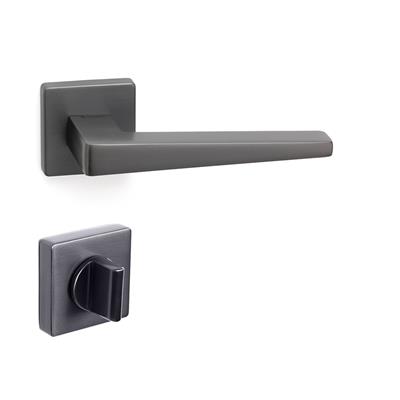 Vısıon Rozetli Kapı Kolu Takımı Füme Renk