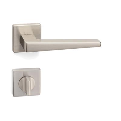 Vısıon Rozetli Kapı Kolu Takımı Saten Renk