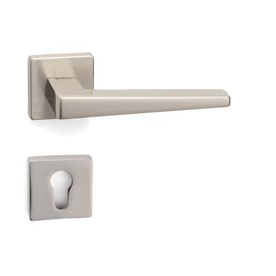 Vısıon Rozetli Kapı Kolu Takımı Saten Renk