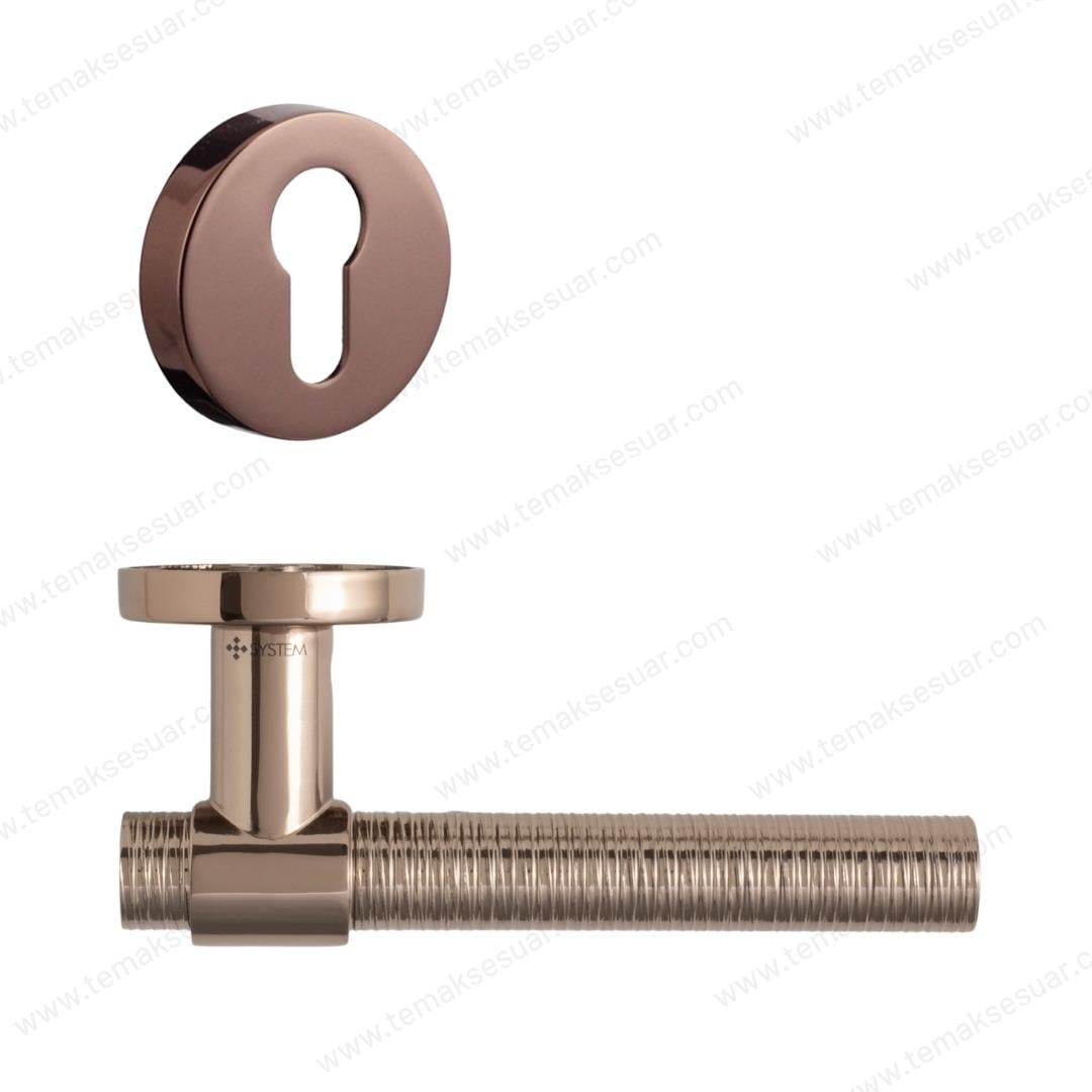 Axel-V Rozetli Kapı Kolu Rose Renk