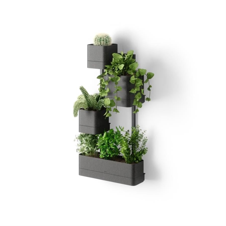 Cubiko Duvar Saksısı Siyah Renk