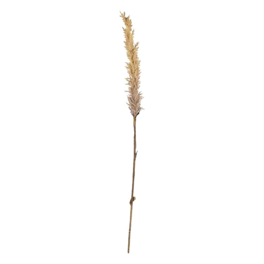 Kvist Dekor Doğal Çimler Dark 115 Cm