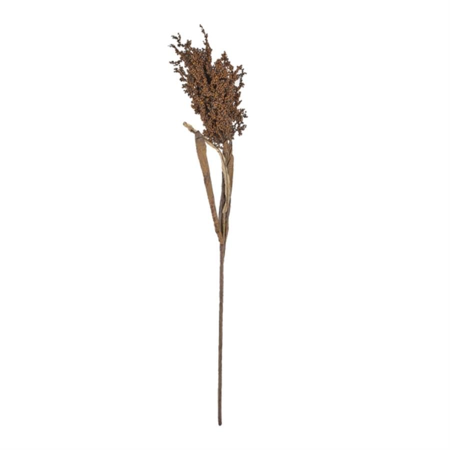 Kvist Dekor Doğal Pampus Çim Koyu 86 Cm