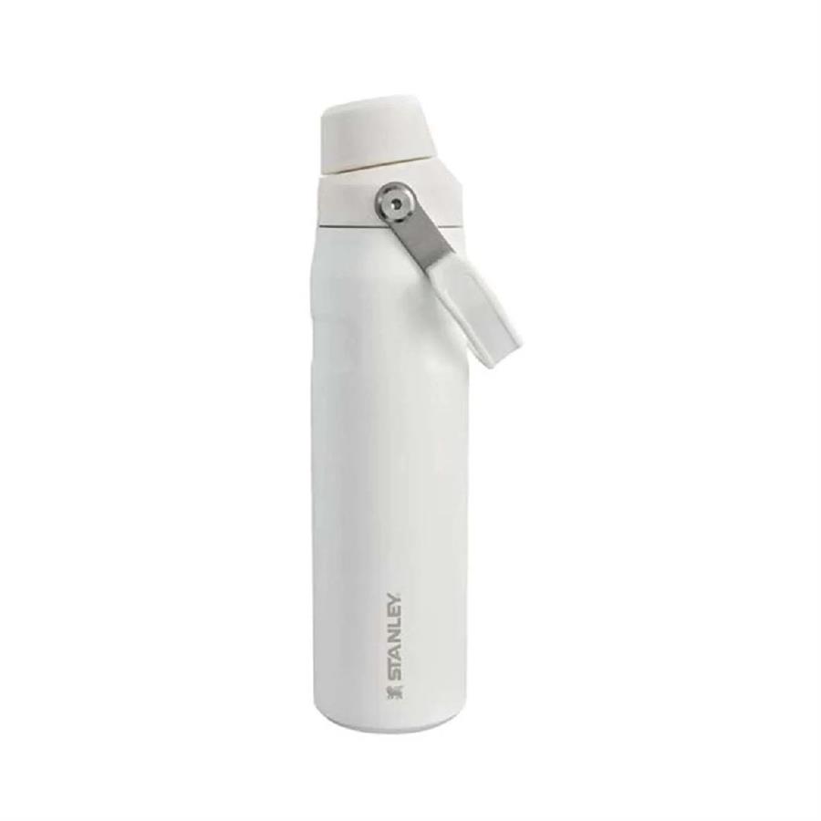The Aerolight IceFlow Soğuk Su Termosu 0,60 Lt