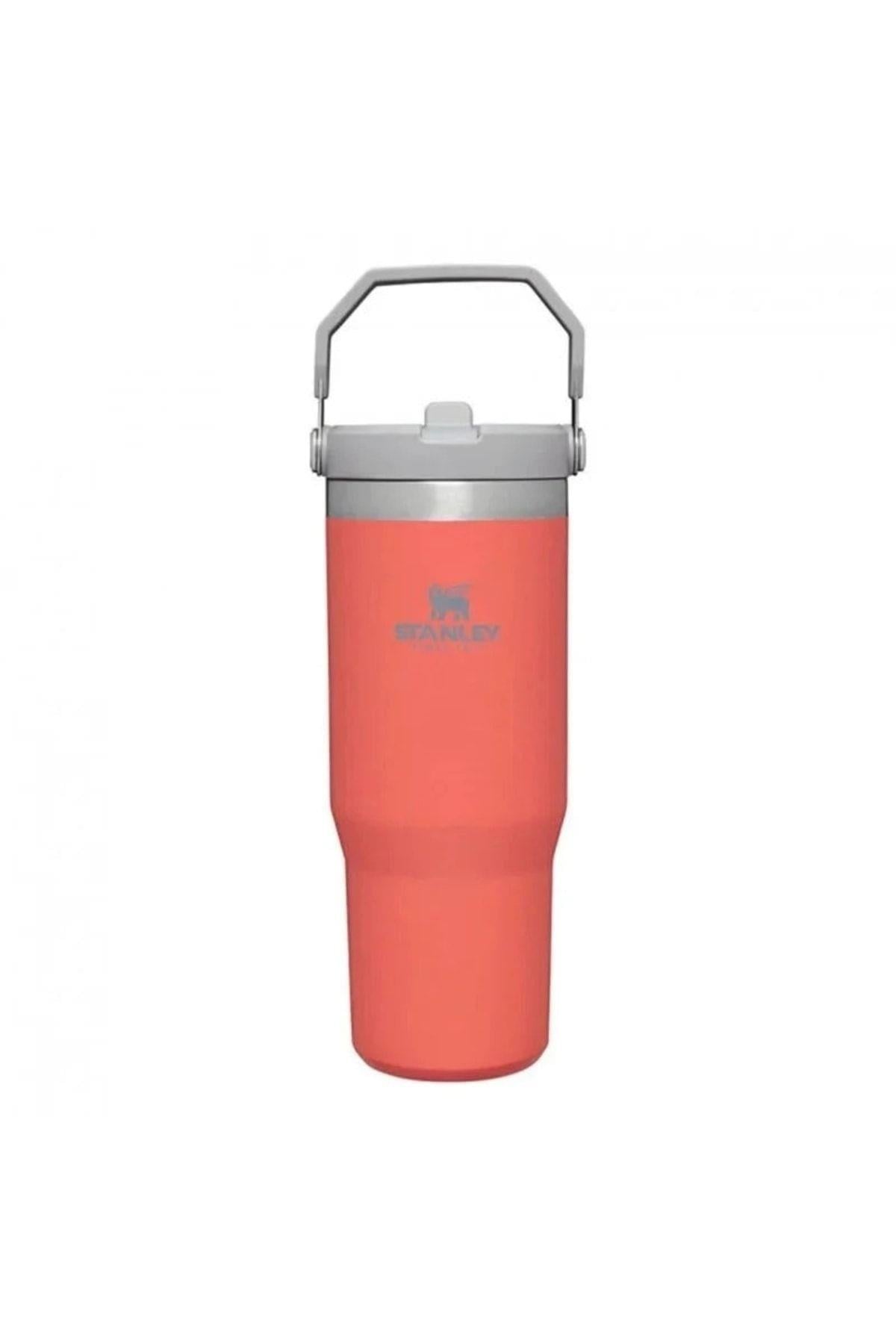 The IceFlow Flip Straw Pipetli Termos Bardak 0,89 Lt