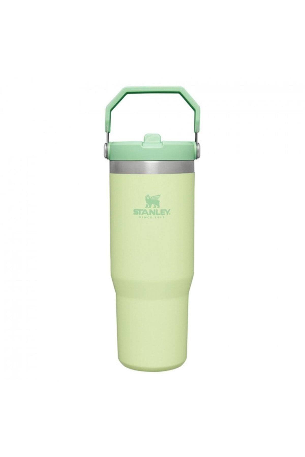 The IceFlow Flip Straw Pipetli Termos Bardak 0,89 Lt