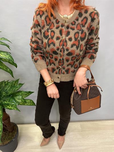 1810 LEOPAR DÜĞME DETAY HIRKA TARÇIN