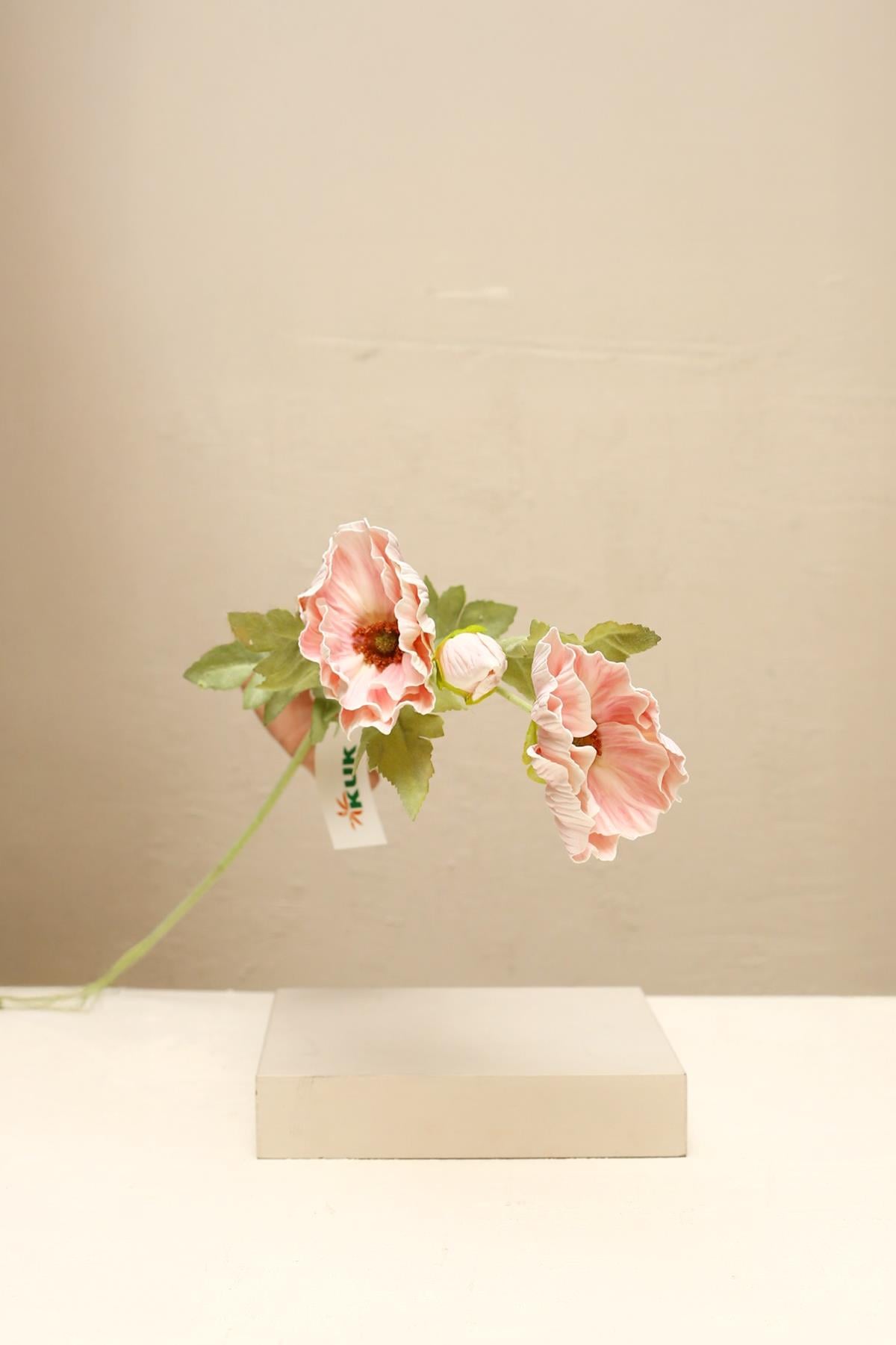 Yaz Home | Pembe İthal Gelincik