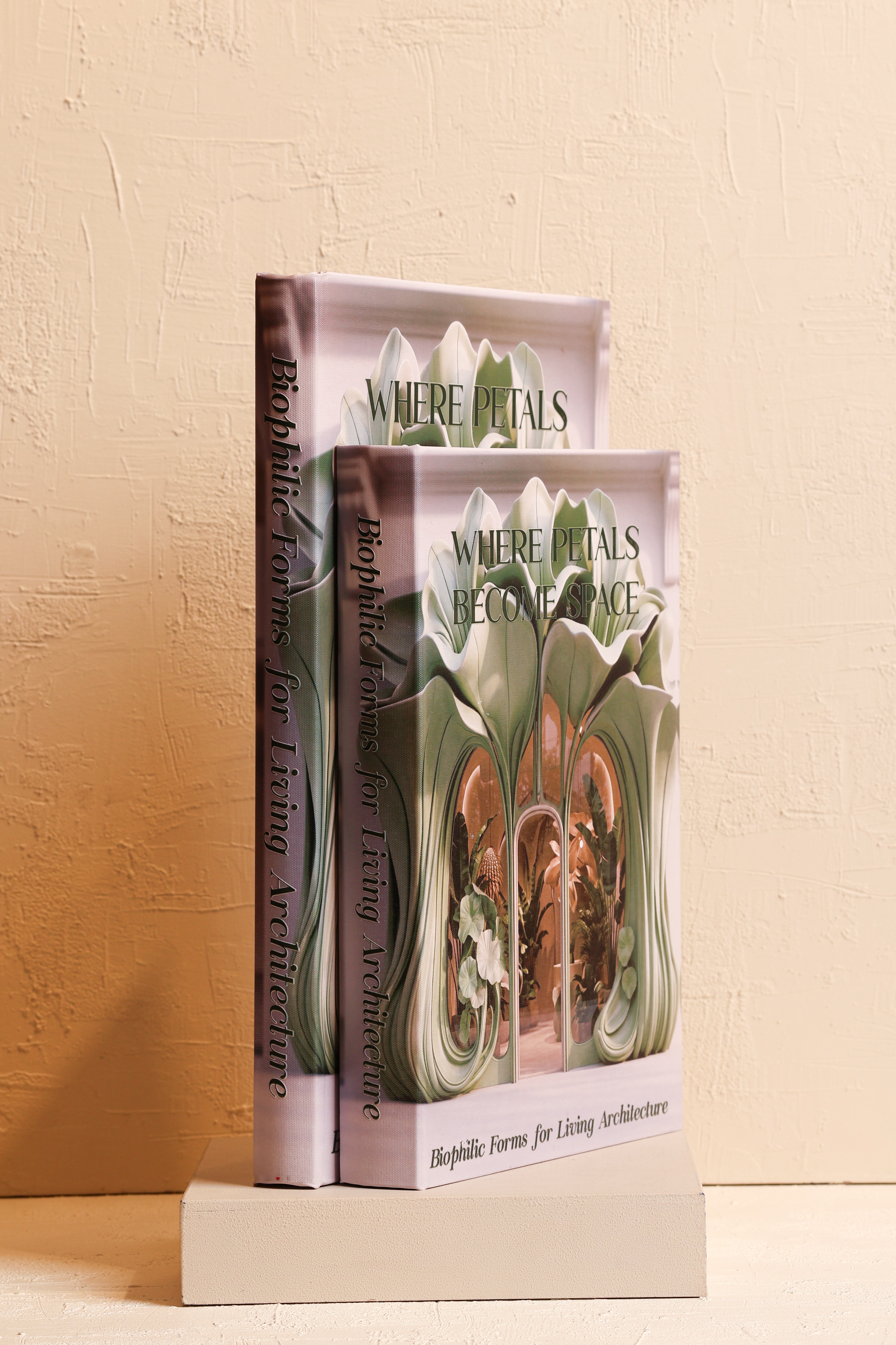 Where Petals Kitap Kutu 