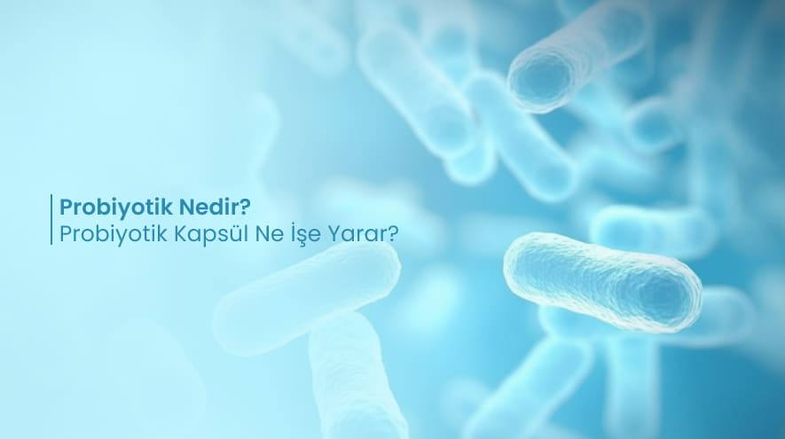 Probiyotik Nedir? Probiyotik Kapsül Ne İşe Yarar?