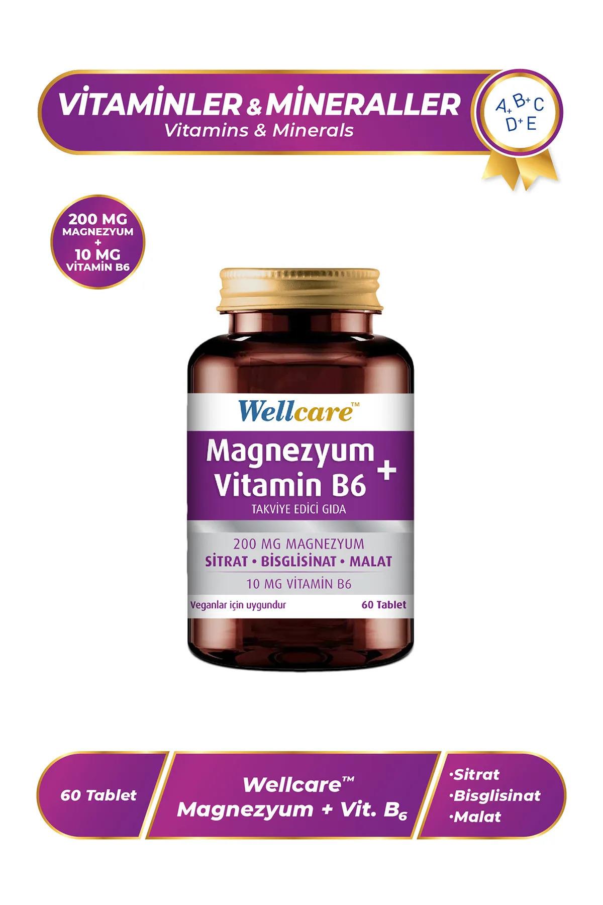 WELLCAREWellcare Magnezyum Vitamin B6 - 60 Tablet8699680010250