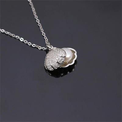 İstiridyeye Gizlenmiş İnci Silver Zincirli Kolye 