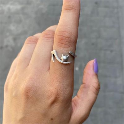 Minimal Kuyruğunu Kovalayan Kedi Yüzük