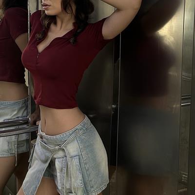 Bordo Balıkçı Yaka Yarım Fermuarlı Kısa Kollu Crop