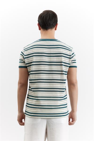 Erkek Camogli Çizgili Tshirt Yeşil