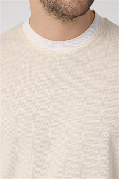 Erkek Ribana Sıfır Yaka Triko Efektli Tshirt zagreb Bej