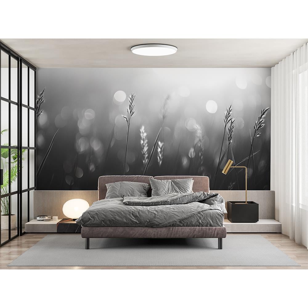 Gümüş Işık Duvar Kağıdı