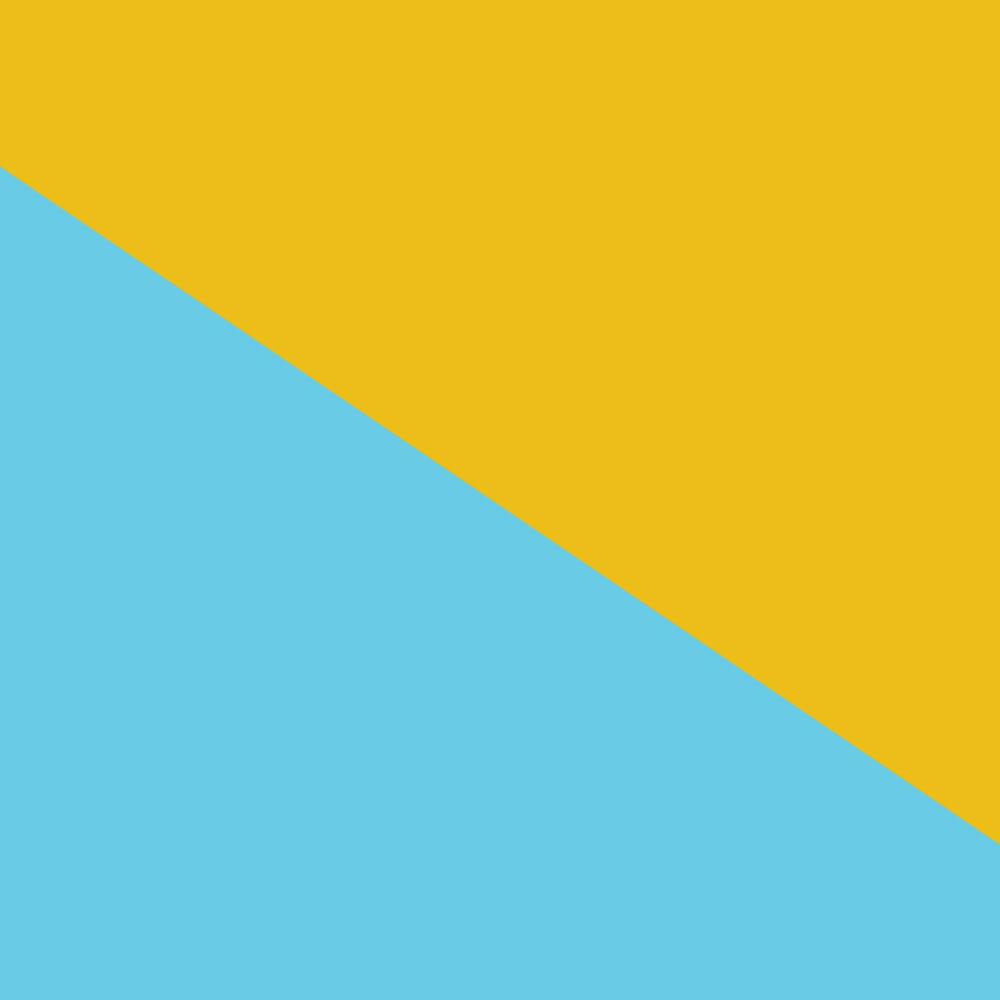 Lise Tören Flaması