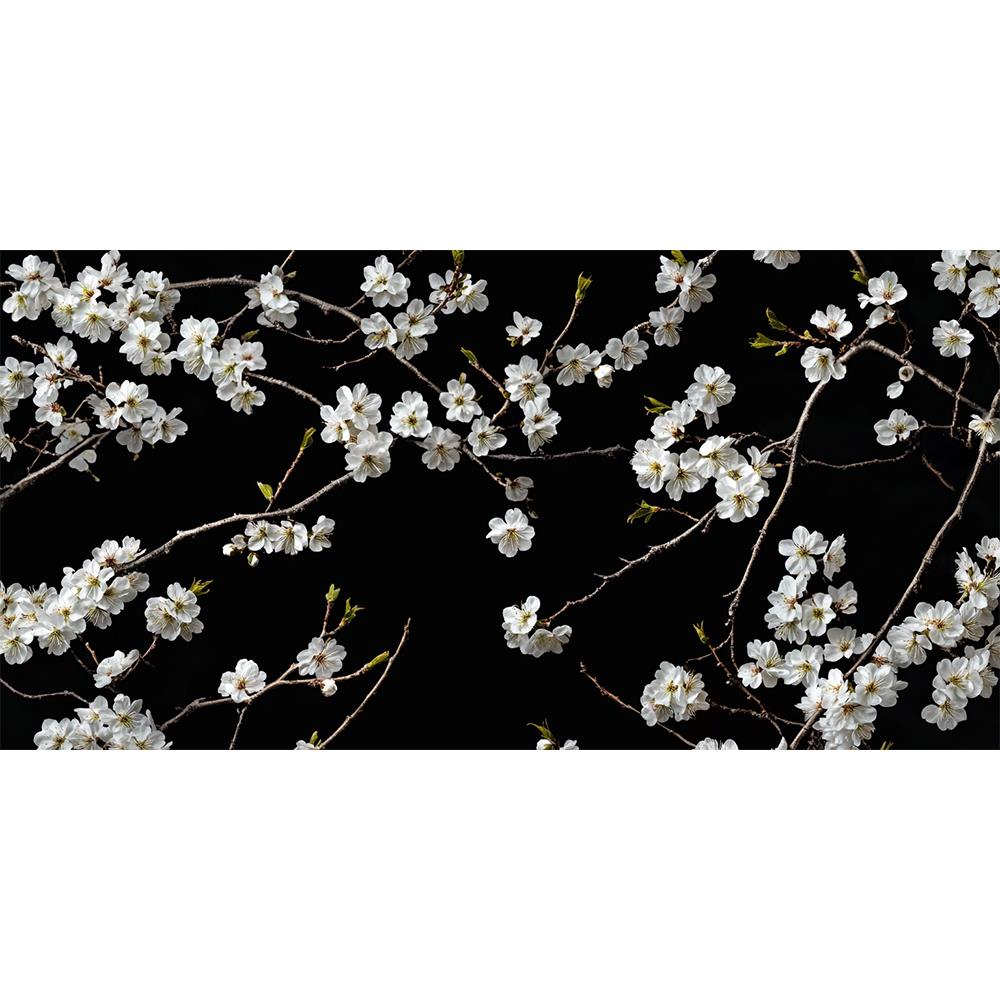 Bahar Dallarının Zarafeti Duvar Kağıdı