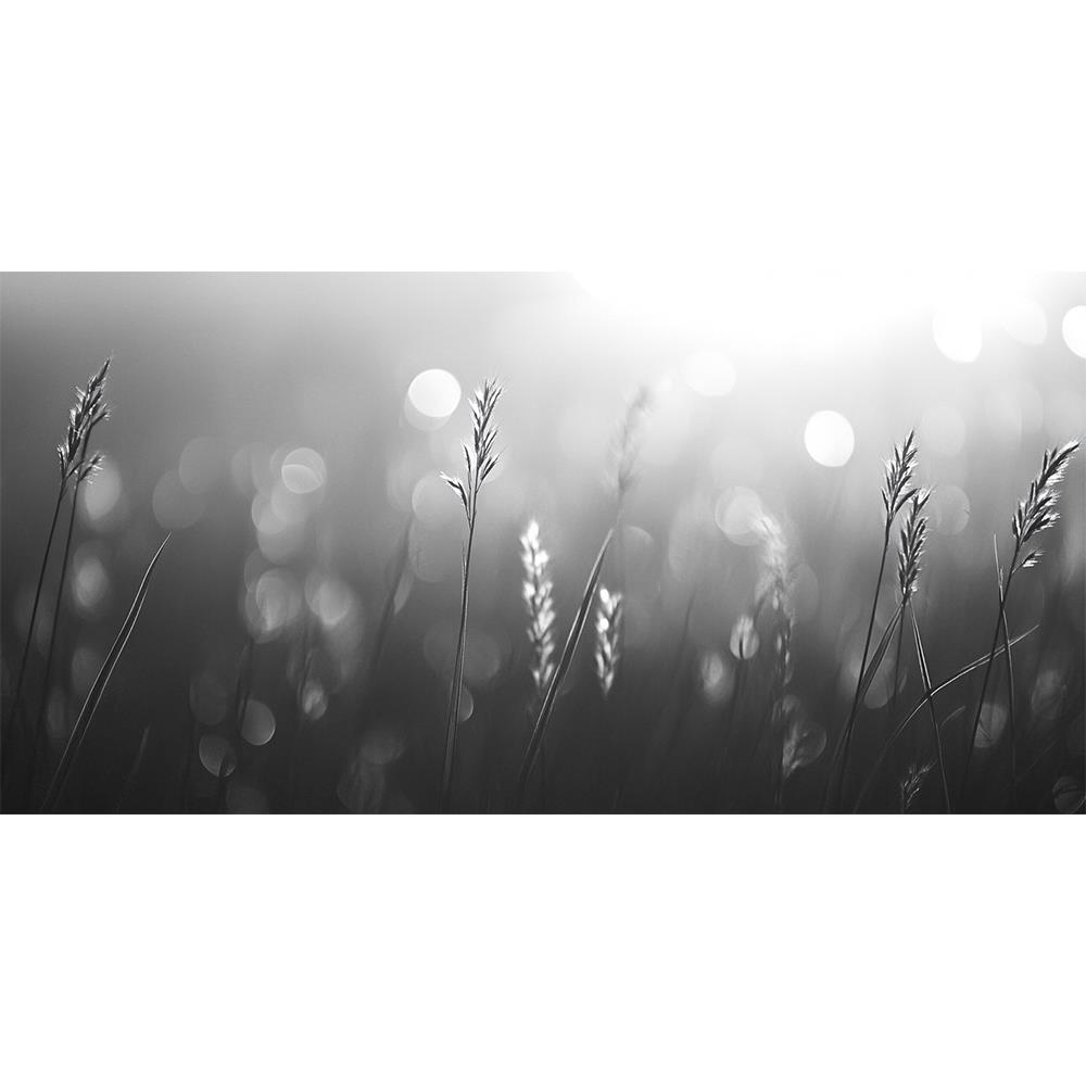 Gümüş Işık Duvar Kağıdı