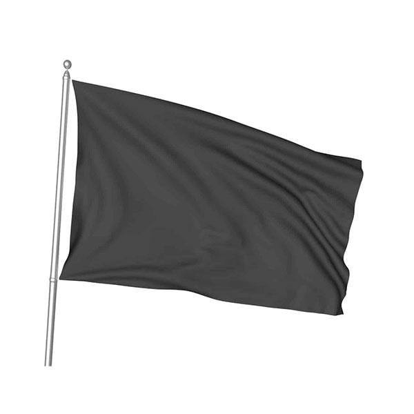 Harzemşahlar Bayrağı