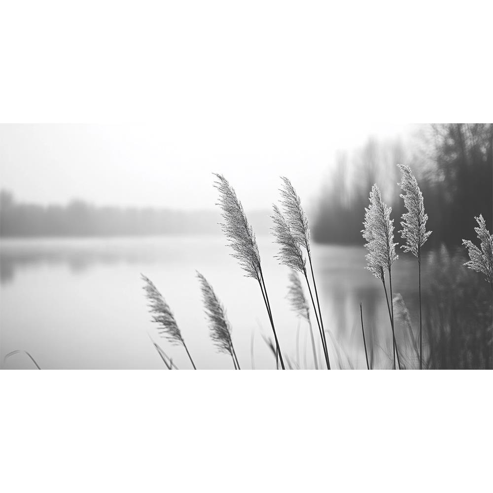 Sisli Göl Sabahı Duvar Kağıdı