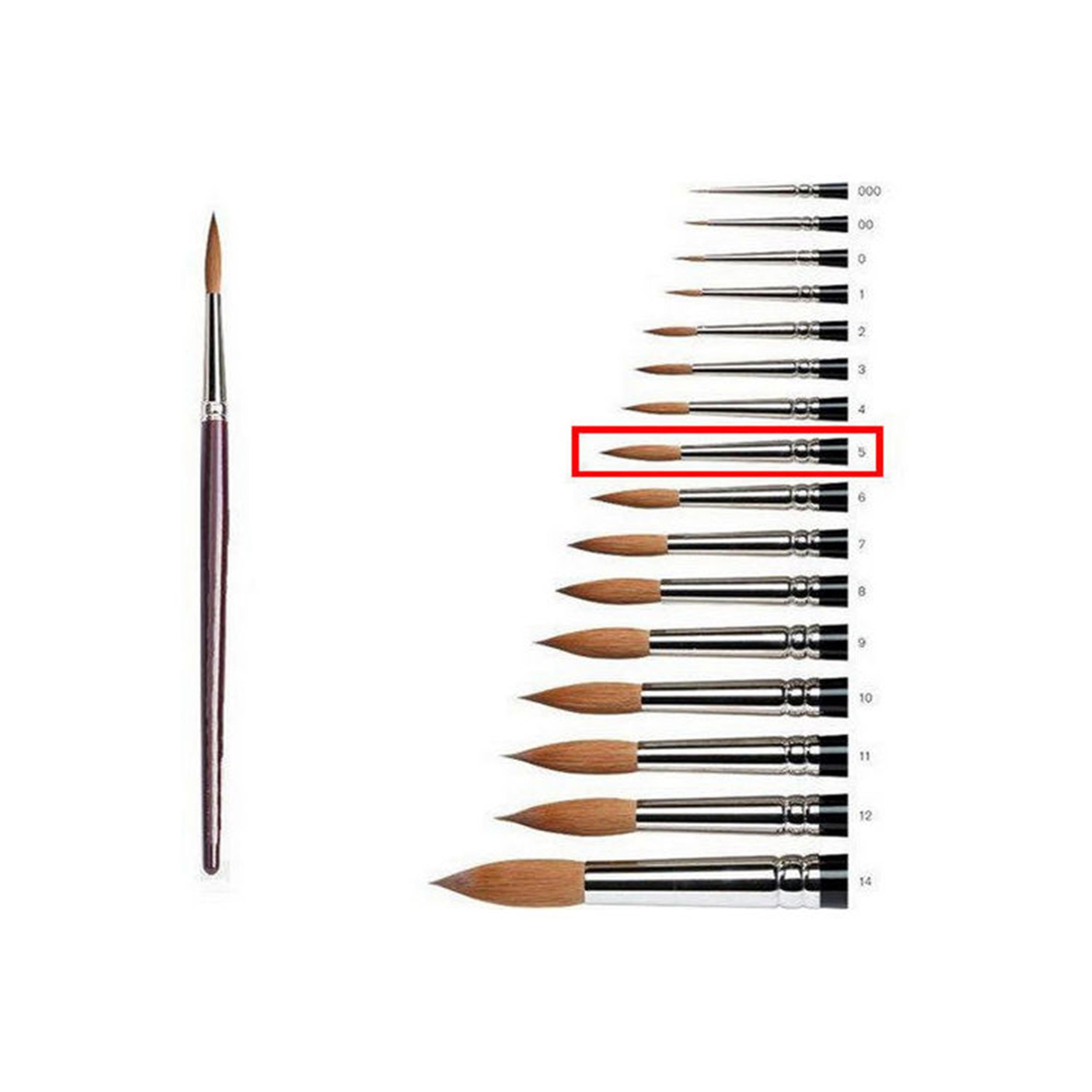 Samur 5 Numara Sulu Boya Fırçası (BLG020362)
