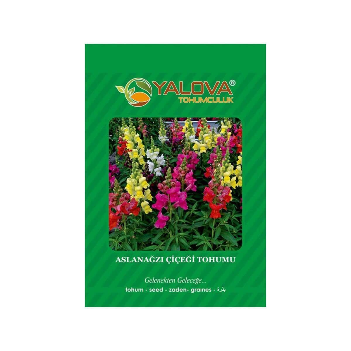 Yalova Aslanağzı Çiçeği Tohumu (BTK.00008)