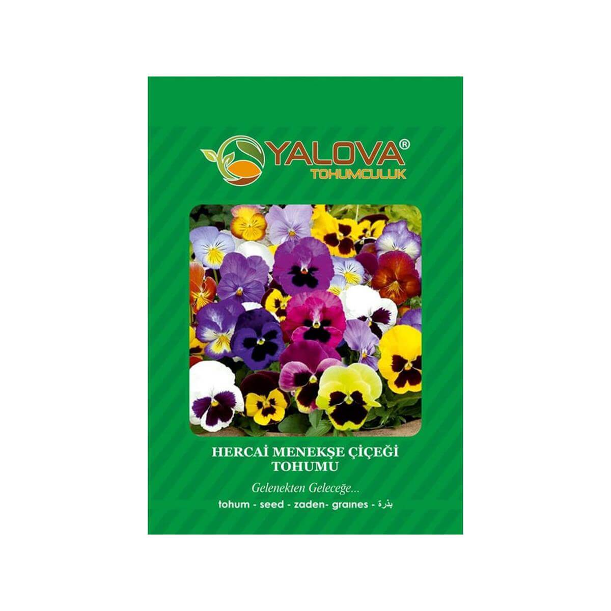 Yalova Hercai Menekşe Çiçeği Tohumu (BTK.00251)
