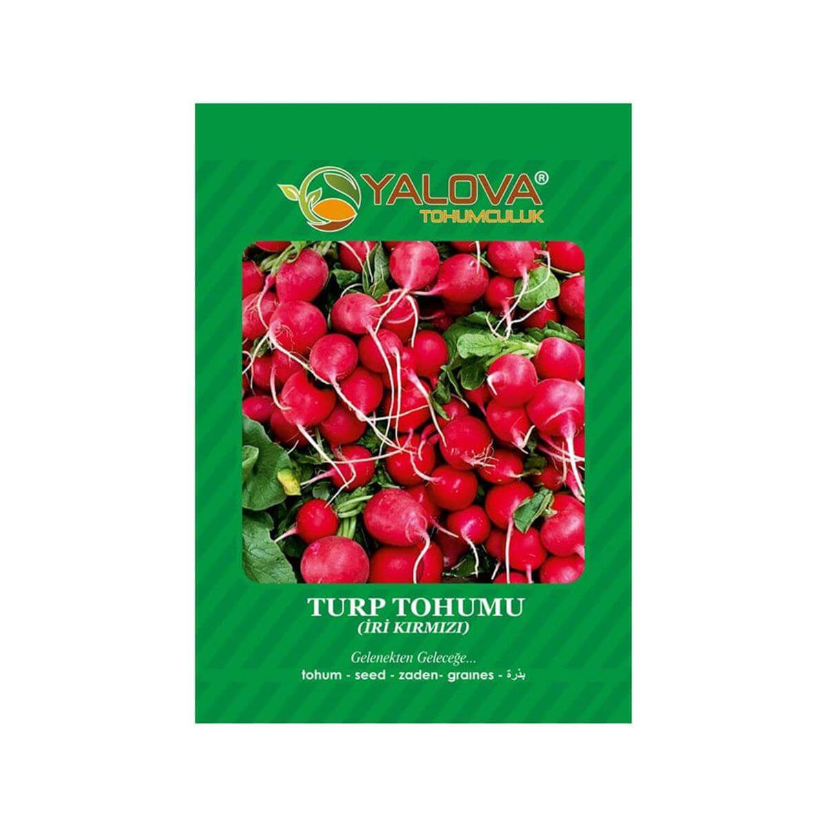 Yalova Kırmızı Turp Tohumu (BTK.01159)