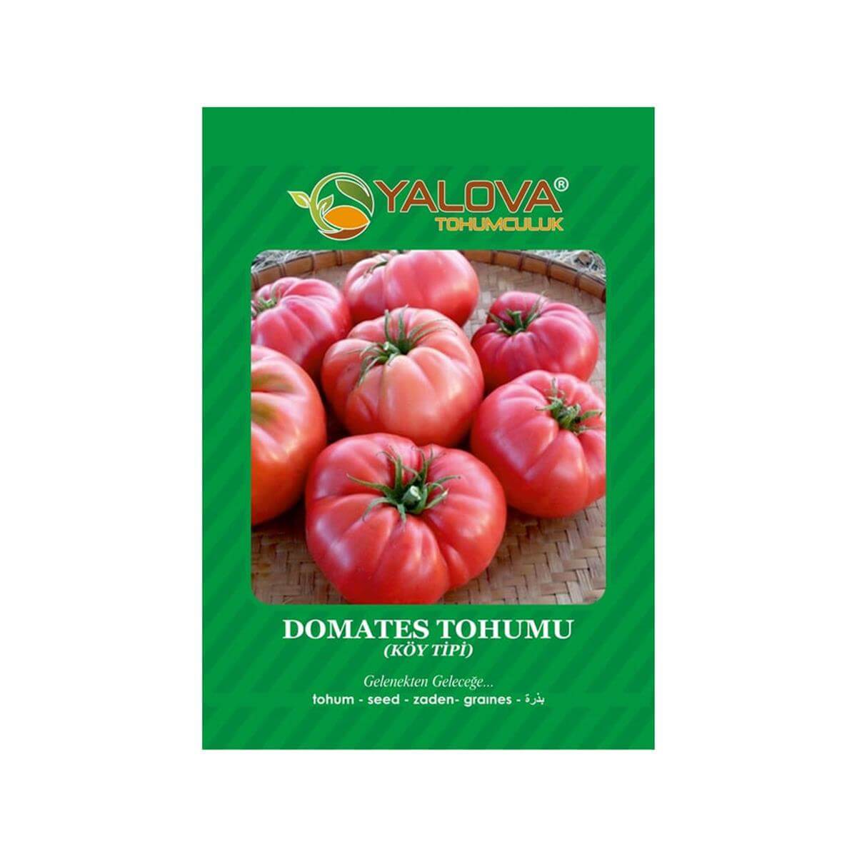 Yalova Köy Tipi Domates Tohumu (BTK.01081)