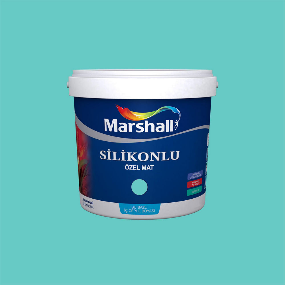 Marshall 87GG 51/291 1 Litre Silikonlu Özel Mat Su Bazlı İç Cephe Boyası (MARSHALL.5134332)