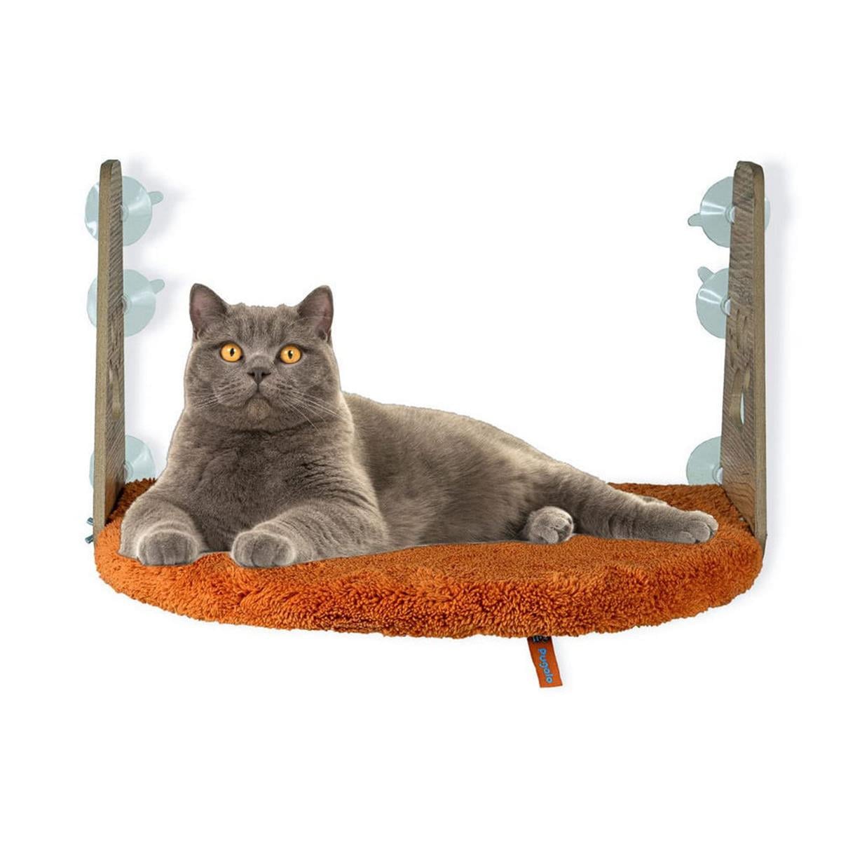 Pugalo Turuncu Kedi Cam Yatağı (PUGALO.00325)